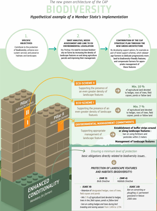 esquema PAC 2021-2027 medidas pesticidas