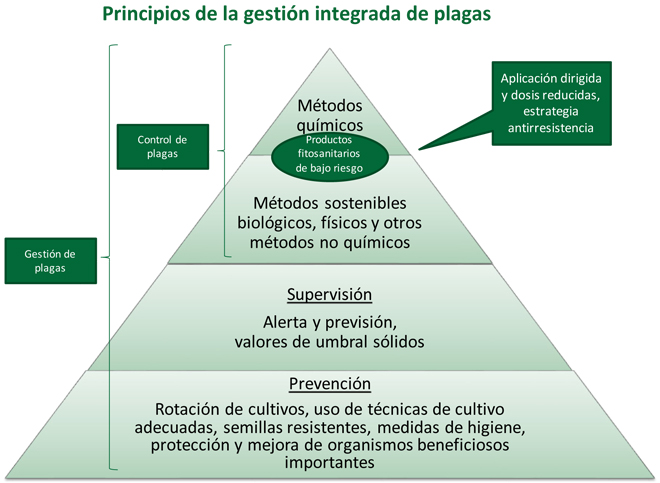Special Report No 05/2020: Sustainable use of plant protection p
