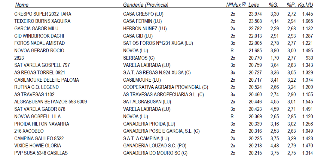 FEFRIGA 2019 2