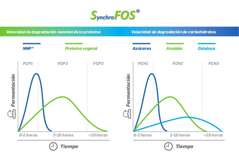 INFOGRAFIA SFOS KOVITAL de heus
