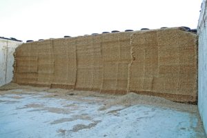O novo silo ten catro metros de altura e almacena 50 hectáreas de millo