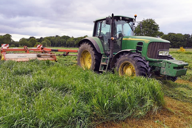 Fan todos os traballos agrícolas agás o ensilado de herba e o millo