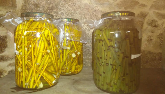 Algunos de los preparados para el viñedo son a base de ajos o mimbre.