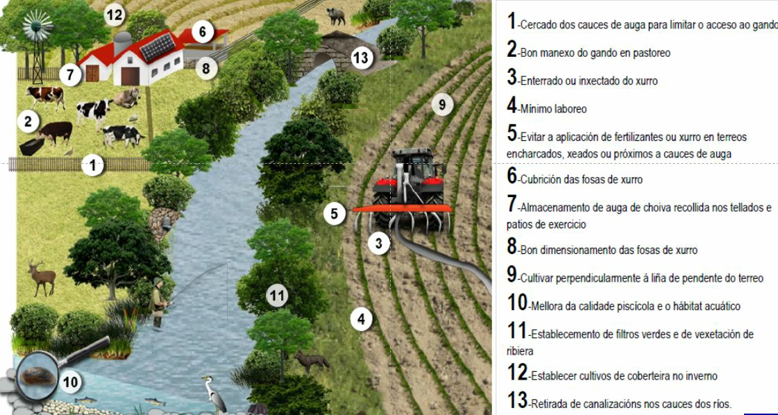 mazaricos ciam boas practicas 8