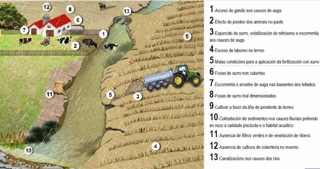 mazaricos ciam malas practicas 7