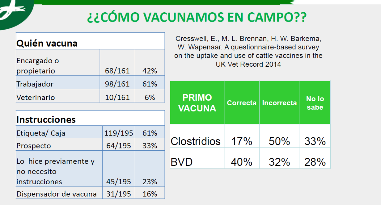 vacina efa fonteboa msd 4