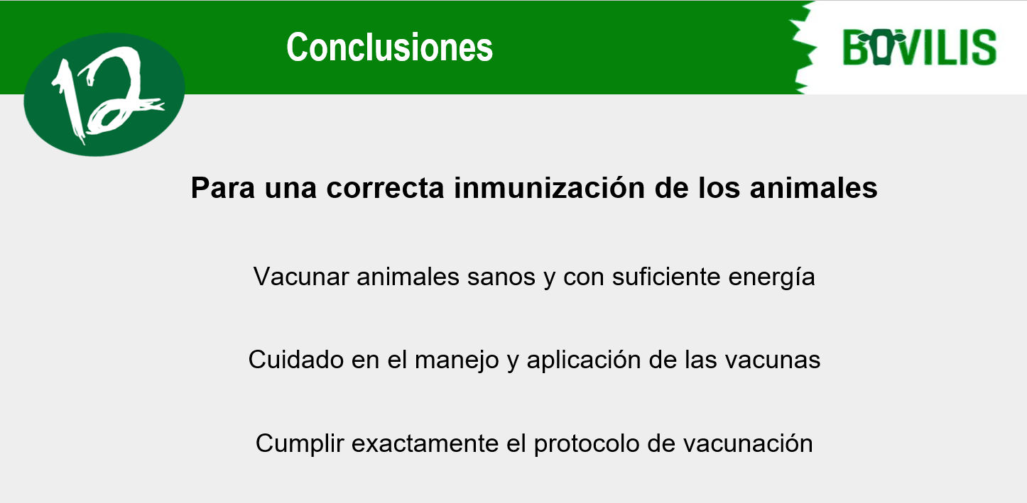 vacina efa fonteboa msd 7