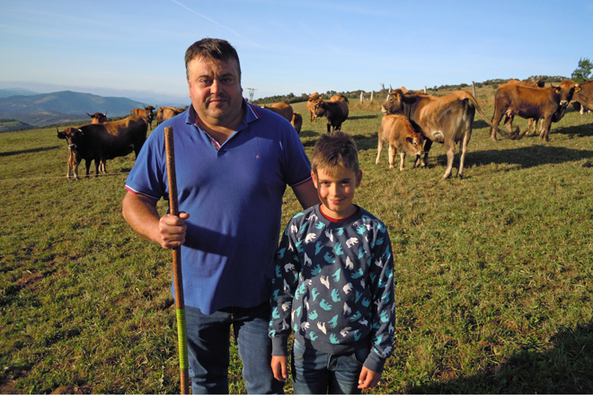 Carlos e o seu fillo Samuel coas súas vacas vianesas en Biduedo (Triacastela)