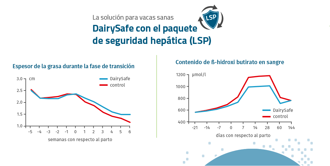 DAIRY SAFE 1 DEVELATT
