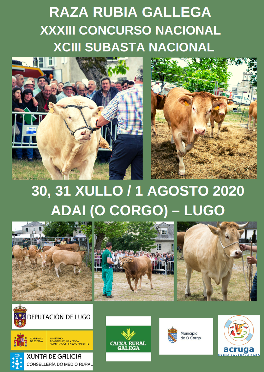 POXA ACRUGA ADAI 2020
