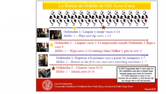 Uno de los protocolos empleados por Libby Eiholzer en las granjas.