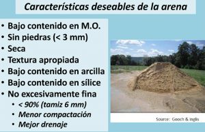 caracteristicas deseables de la arena en las camas