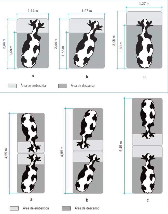 grafico dimensiones cubiculos2