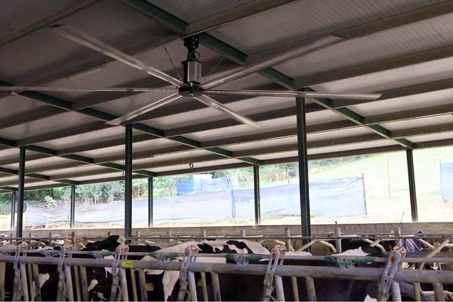 Ventilador de teito en Casa Devesa de Monforte de Lemos