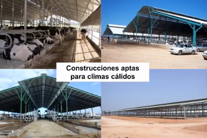 Construcciones-para-climas-calidos-MSD-Israel-