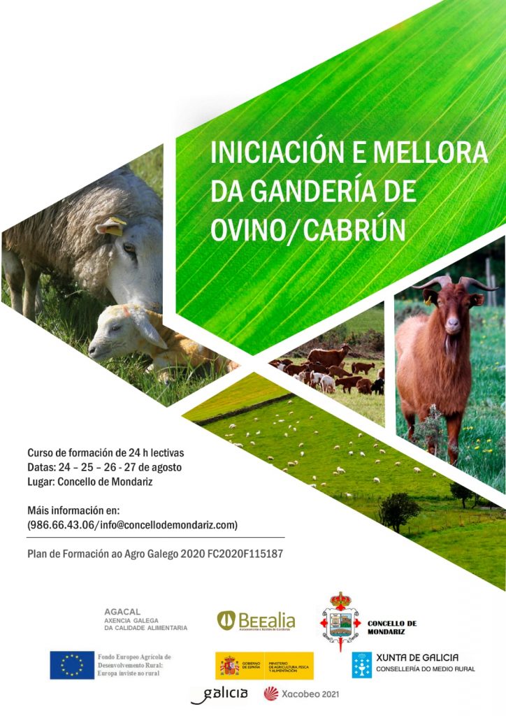 Curso de iniciacion mellora gando ovino Beealia