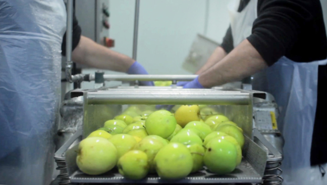 INSTALACIONES-Galifresh-