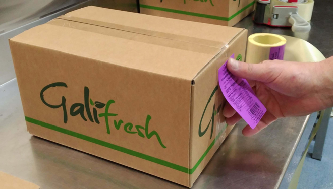 PREPARACION-Galifresh-