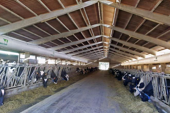 Nave de produción de SAT San Antonio, de Palas de Rei, que vén de instalar un sistema de condución de aire