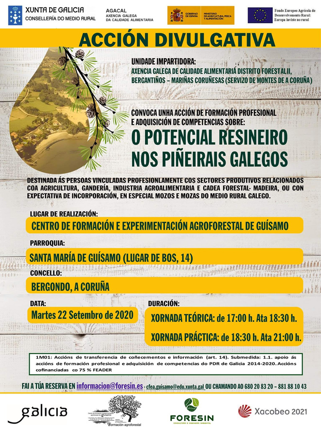 Curso-resineiro-