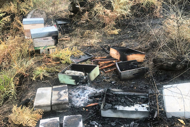 Colmeas tralo paso do lume esta semana na Serra do Xurés