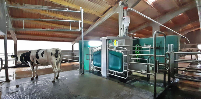 Robot no lote de primeirizas, con entrada frontal e tráfico libre 