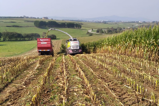 ensilado millo Agropres1