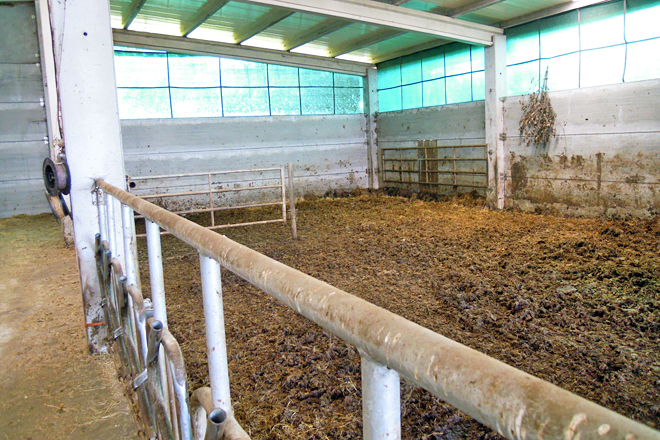 A nave nova te capacidade para 40 vacas en estabulación libre e cama de esterco