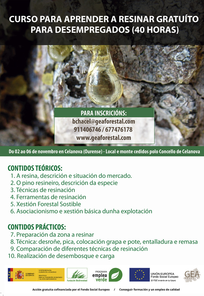 Curso-resina-Celanova-