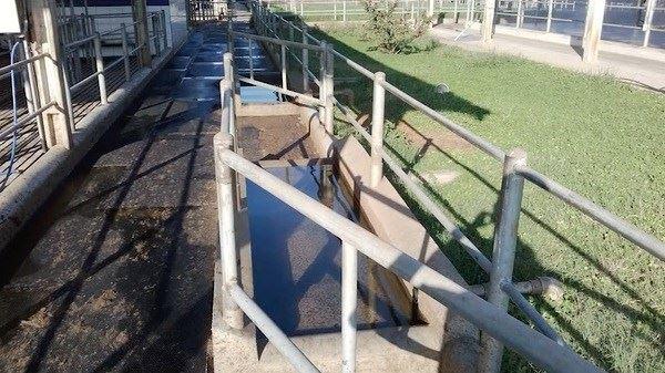 PODOLOXIA ASOCIACION BAÑO CASCOS PEZUÑAS