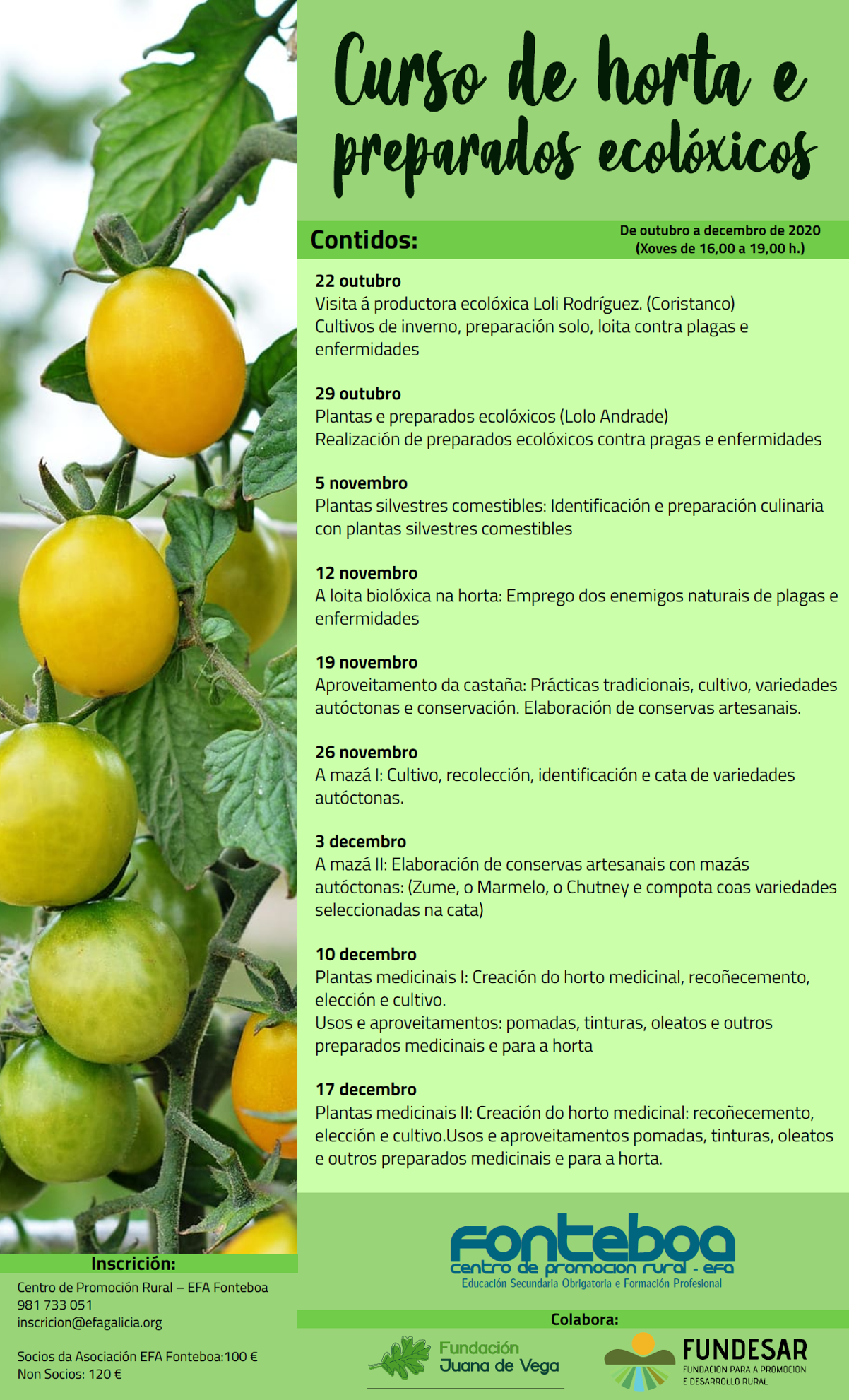 PROGRAMA HORTA ECOLOXICA EFA GALICIA