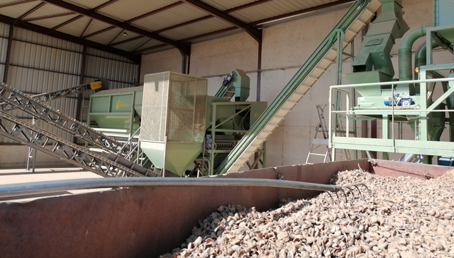 Procesadora-almendra-Coop-Artajona-