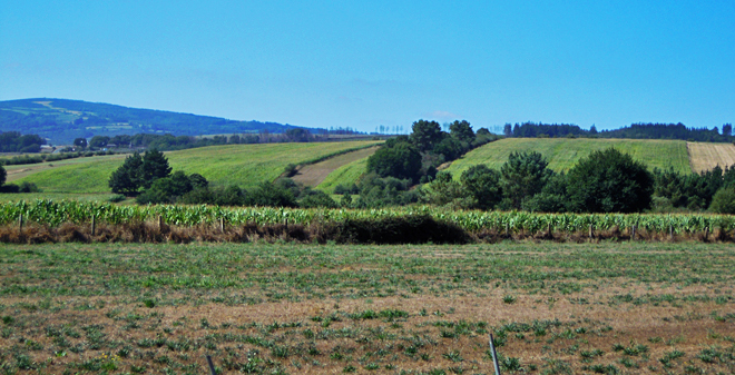 San Martiño SL (Portomarín) superficie agraria