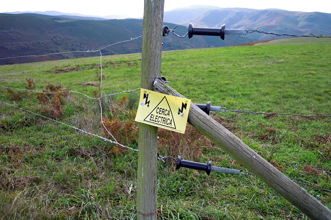 Teñen as 70 hectáreas pechadas con cercas eléctricas con tres aramios