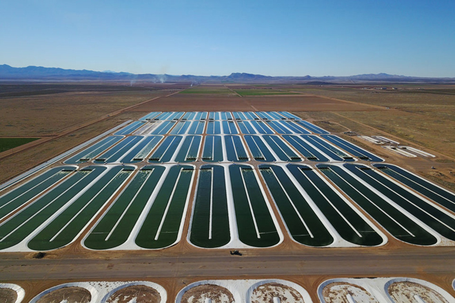 Planta de cultivo de algas en estanques en EEUU