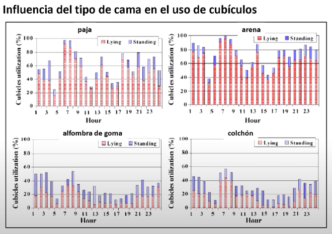 tipo-de-cama-uso-de-cubiculos-
