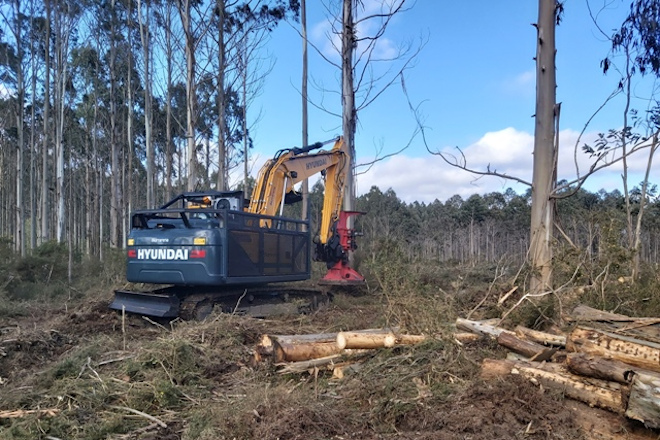 CASEFOR MADEIRA CORTA EQUIPO DE TALADO SOBRE RETROEXCAVADORA ADAPTADA A TRABALLOS FORESTAIS