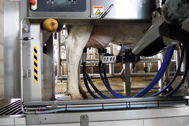 Na primavera instalaron un robot de muxido da marca Delaval con porta selectora
