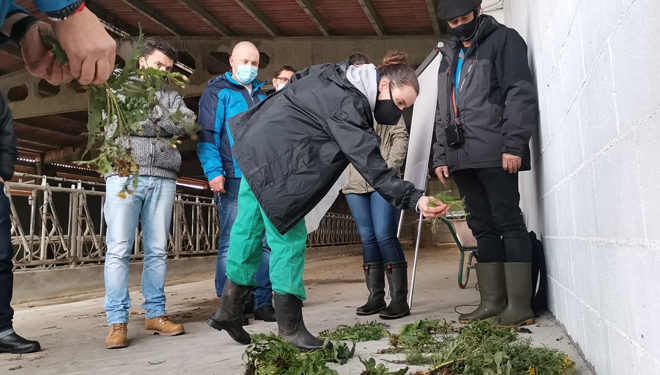 Clasificacion-de-plantas-taller-de-Sergude-