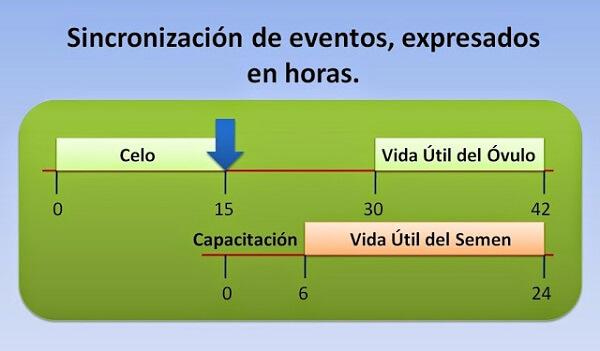 Figura 1. Sincronización de eventos, expresados en horas. Fonte Tambero.com 