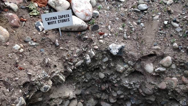 Suelos-bodega-Catena-Zapata-