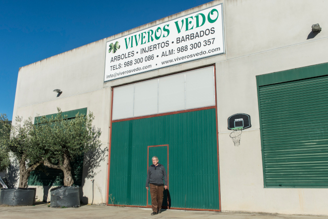 viveiros vedo valdeorras Bejamín 8