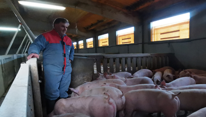 Carlos-Failde-Gand-porcino-Failde-