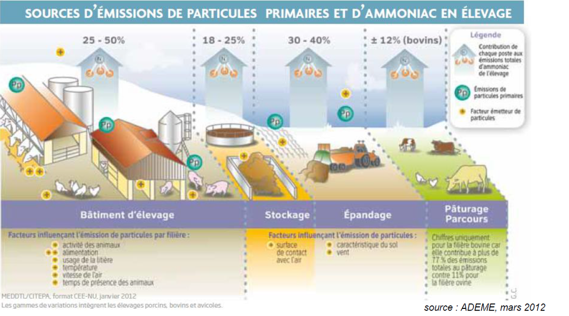 EMISION AMONIACO GRANJA BOVINA