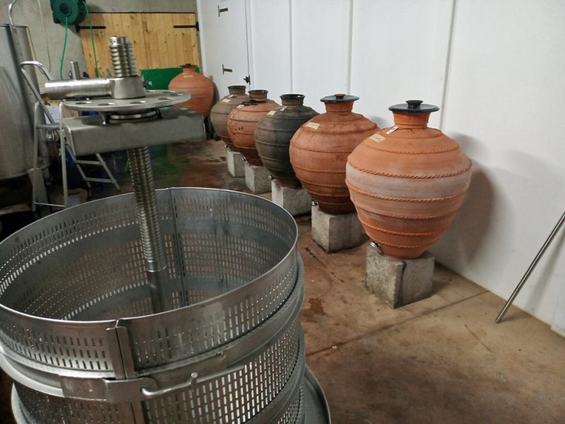 Unha imaxe da adega, coas ámboas de barro onde fermenta o viño