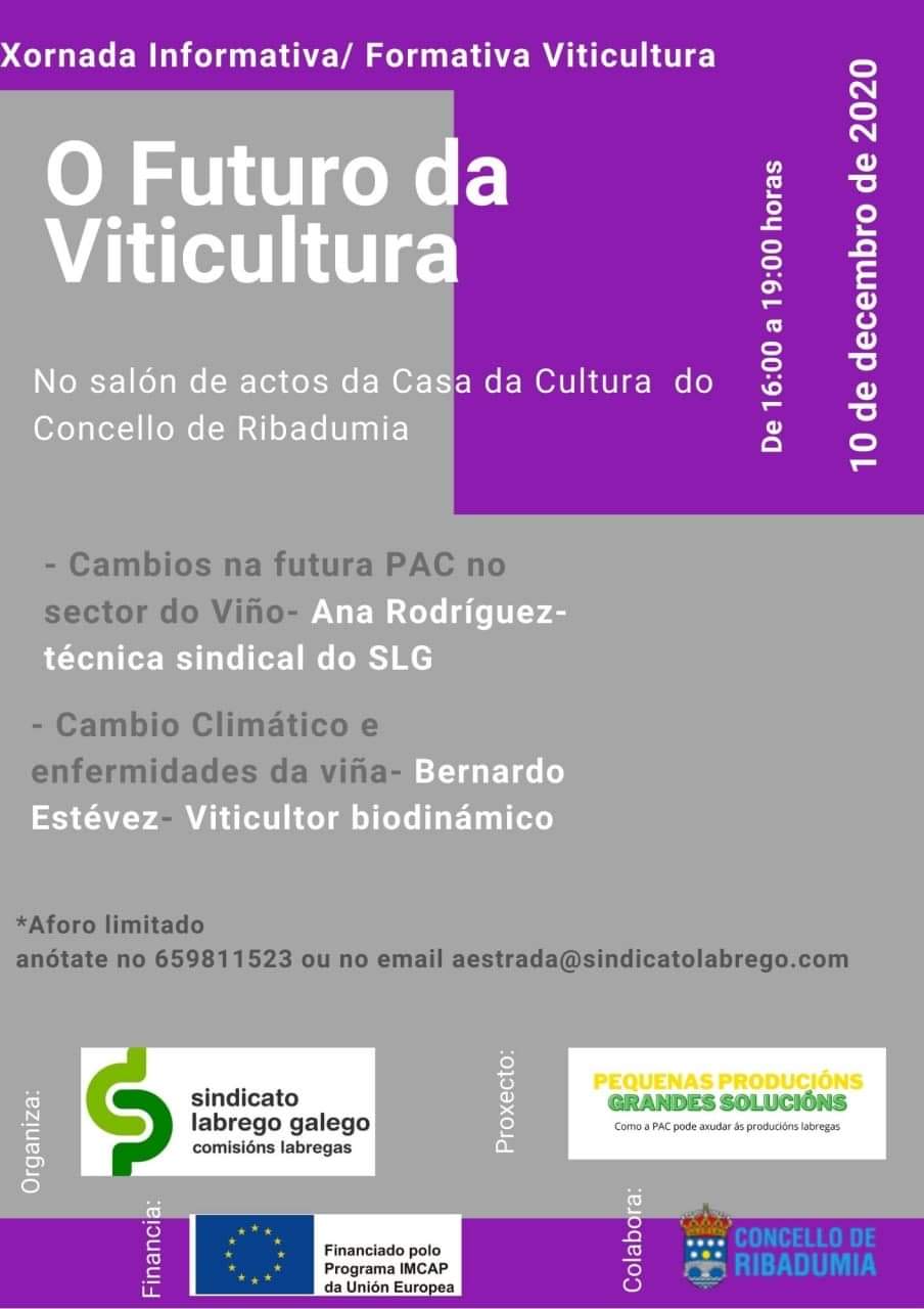 XORNADA SLG VIÑO