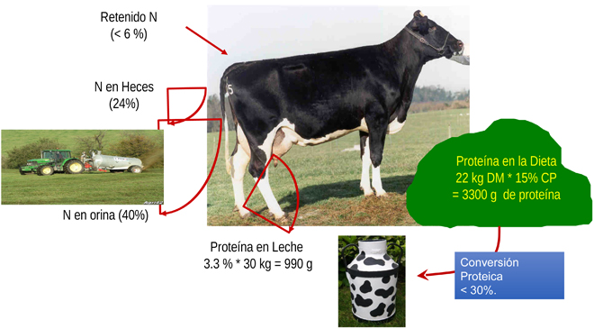 grafico eficiencia uso nitrogeno