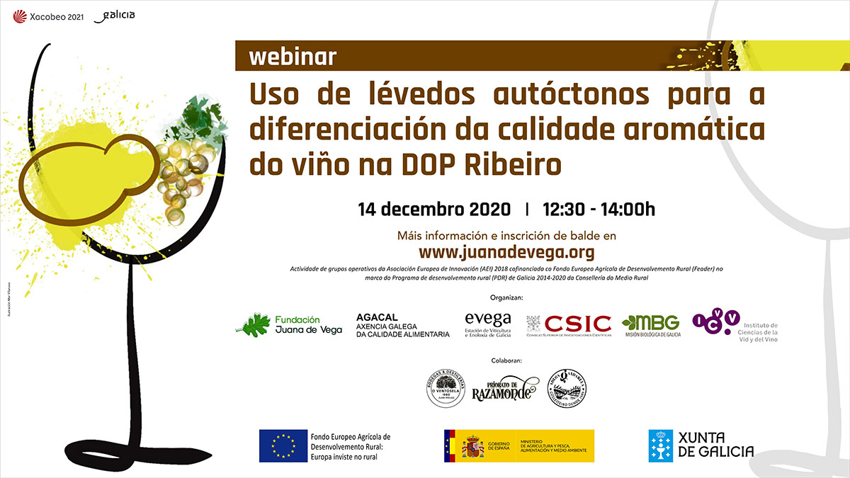 ribeiro webinar_levedos_2
