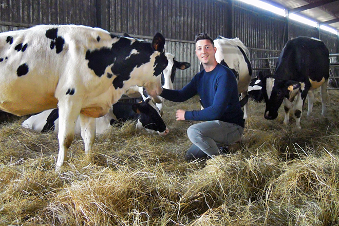 Álex no medio das súas vacas secas