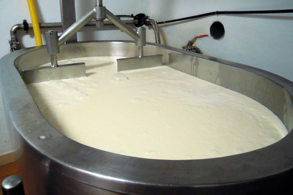 DON GABINO elaboracion queixo pasteurizacion